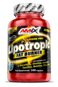 Amix Lipotropic Fat Burner — 100 kapsula (20 doza)
